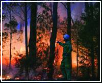 Special Issue Cover