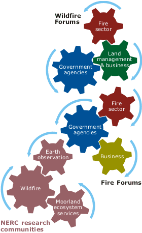 Stakeholder groups